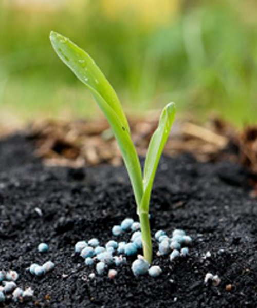 Fertilizers